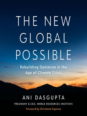 cover image of The New Global Possible